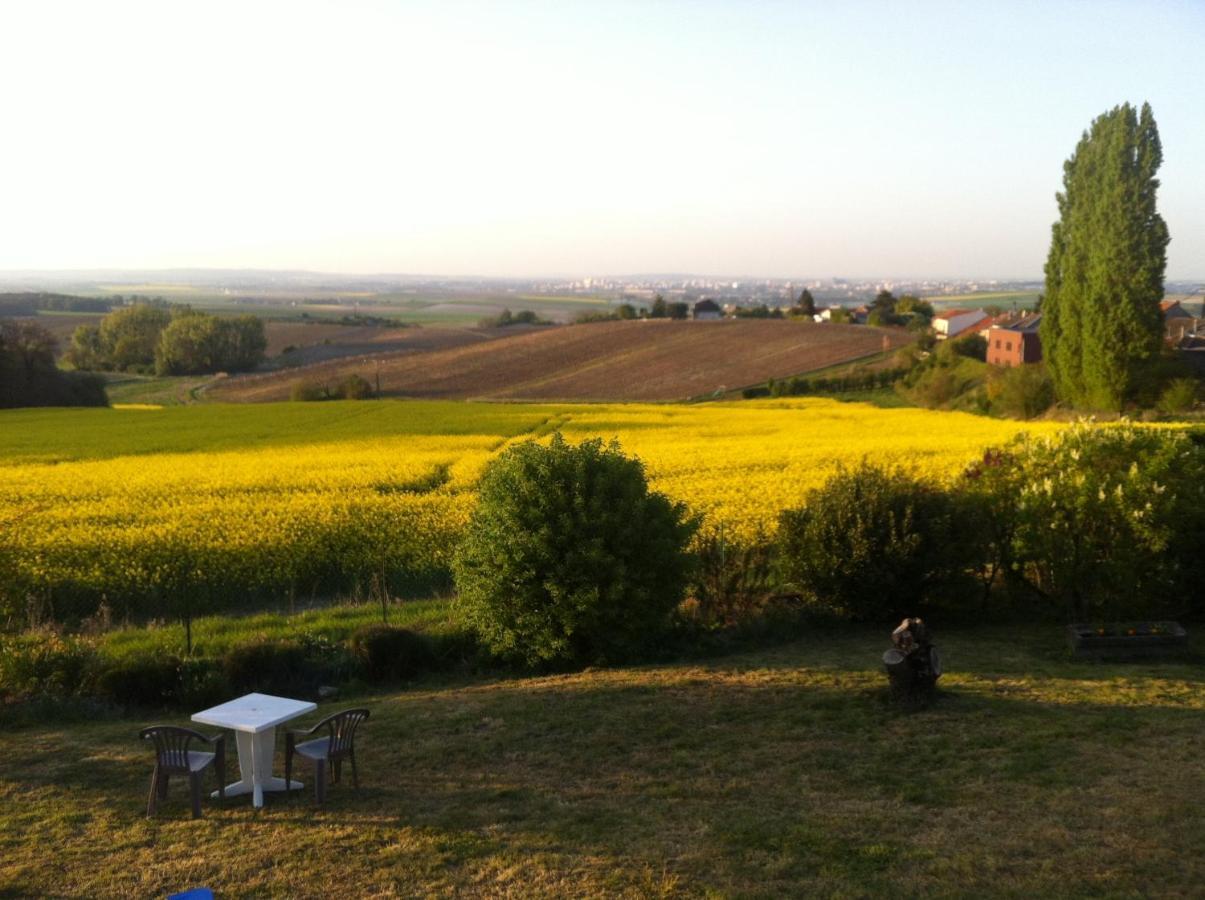 Villa Reims Epernay Champagne Vineyard Villers-Allerand Exteriér fotografie