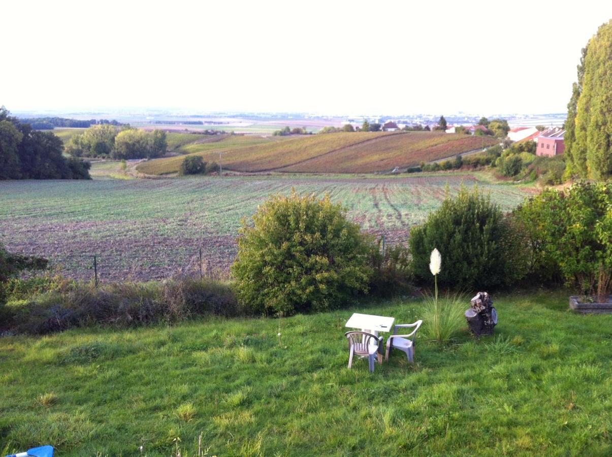 Villa Reims Epernay Champagne Vineyard Villers-Allerand Exteriér fotografie
